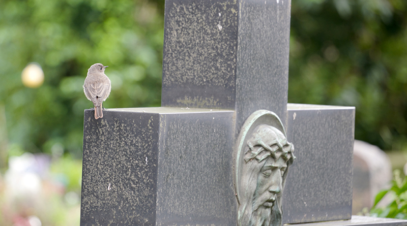 WIDER DIE GRÄBER DES GRAUENS