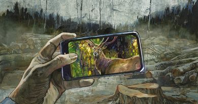 Illustration: Timo Wuerz, abgeholzter Wald, davor eine Hand mit einem Handy, auf dem Bildschirm des Handys ist ein Hirsch zu sehen vor einem gesunden Wald