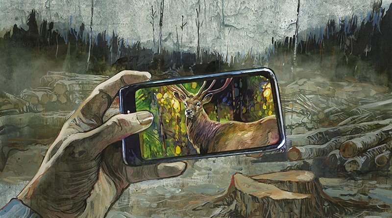 Illustration: Timo Wuerz, abgeholzter Wald, davor eine Hand mit einem Handy, auf dem Bildschirm des Handys ist ein Hirsch zu sehen vor einem gesunden Wald