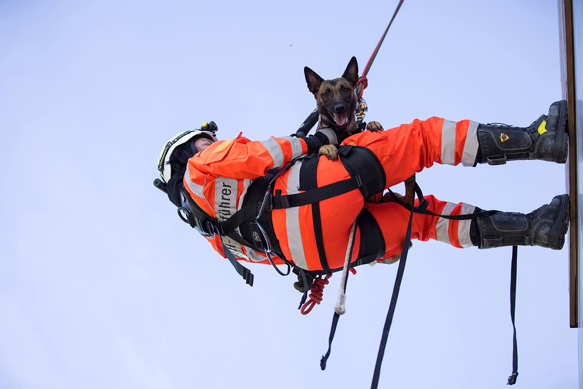 Rettungshund mit Hundeführer seilen sich gemeinsam ab