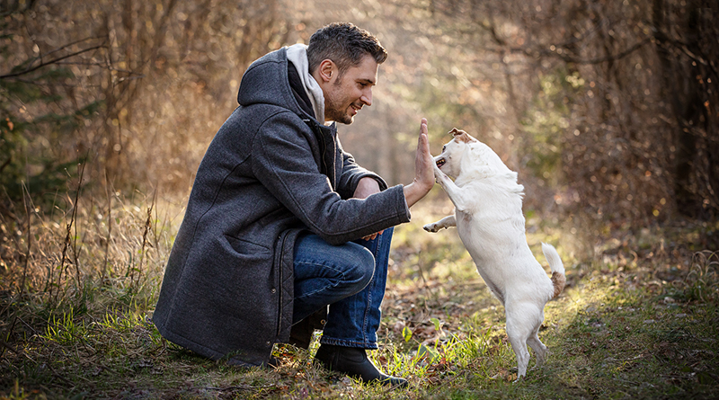 IM SELBEN HIMMEL – Abschied von Libby 