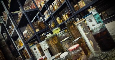 Präparatensammlung im Institut