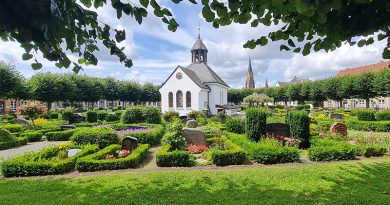 Friedhof in Holm