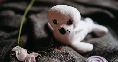 sargbeigaben-isabell-steinert-fotografie-24