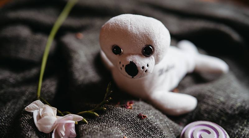 sargbeigaben-isabell-steinert-fotografie-24