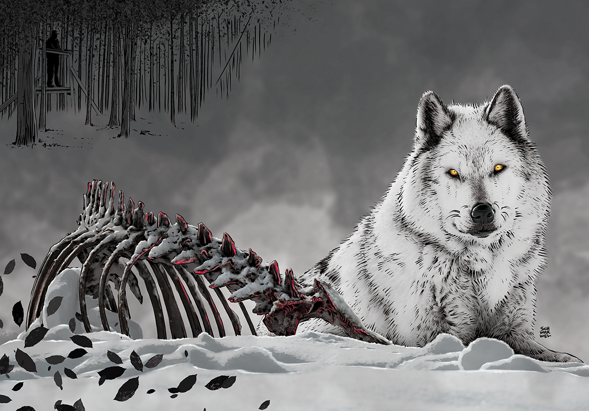 Illustration von Schwarwel, Wolf sitzt vor einem abgenagten Tierskelett, Jäger im Hintergrund im Wald