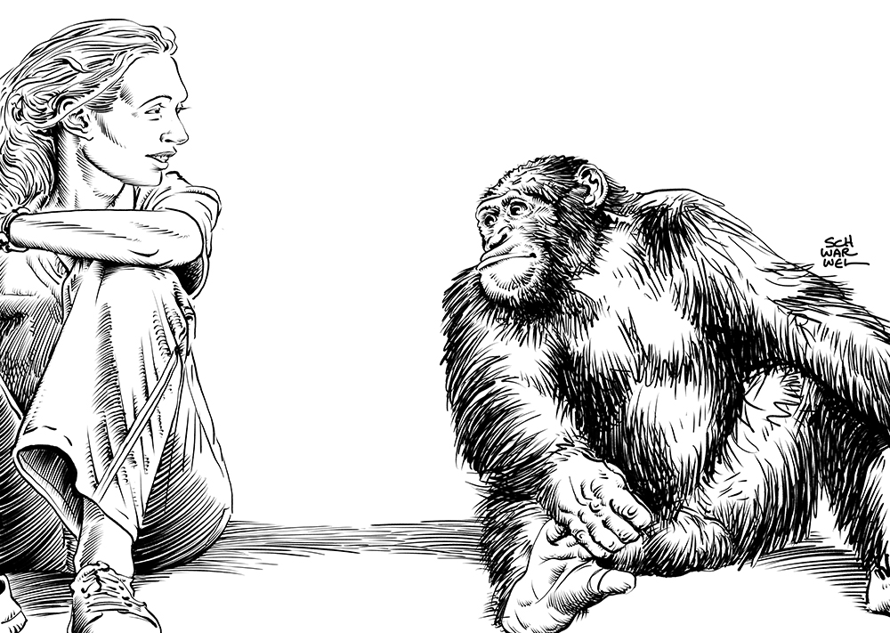 Illustration von Schwarwel, s/w, Jane Goodall links, ein Schimpanse rechts, beide schauen sich an