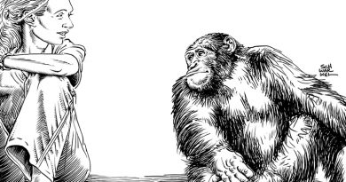 Illustration von Schwarwel, s/w, Jane Goodall links, ein Schimpanse rechts, beide schauen sich an