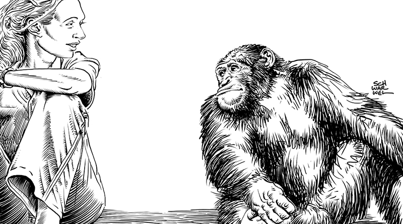 Illustration von Schwarwel, s/w, Jane Goodall links, ein Schimpanse rechts, beide schauen sich an