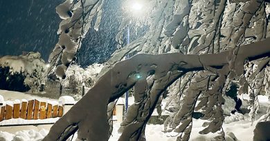 Dorf im tiefen Schnee, im Vordergrund vollgeschneiter Baum, es ist abends, Straßenlaterne leuchtet, Foto: Sandra Strauß