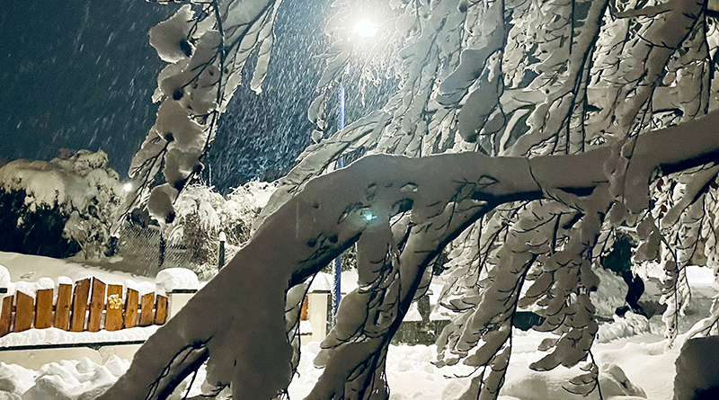 Dorf im tiefen Schnee, im Vordergrund vollgeschneiter Baum, es ist abends, Straßenlaterne leuchtet, Foto: Sandra Strauß