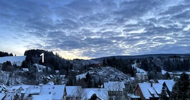 Dorf im Schnee, umrandet von Wald und Himmel, Foto: Sandra Strauß