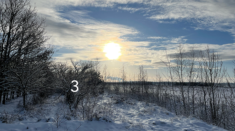 Winter-Schnee-Landschaft mit klarem blauen Himmel und Sonne an einem See, Foto: Sandra Strauß