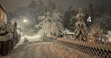 Winterlandschaft in einem Häusergebiet mit Gärten und Bäumen und mit dickem Schnee am Abend im Dunkeln, Foto: Sandra Strauß