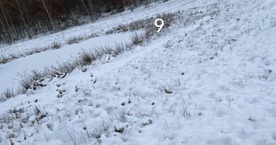 Schneefoto von Sandra Strauß, leichter Schnee auf einer Wiese am Wald