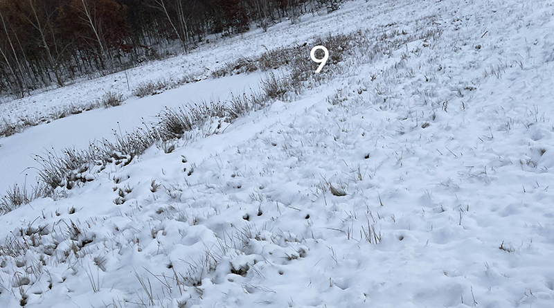 Schneefoto von Sandra Strauß, leichter Schnee auf einer Wiese am Wald