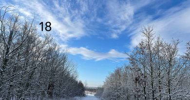 Schneefoto, Wald am See mit kräftig blauem Himmel, Foto: Sandra Strauß