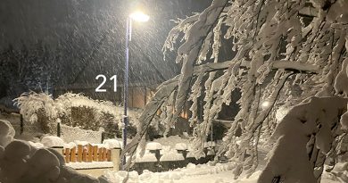 Verschneite Nacht im Dezember in einem Dorf, Straßenlaterne leuchtet